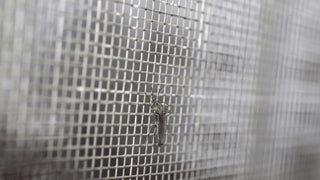 Mosquito Nets