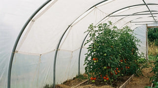 Shade Cloth for Plants