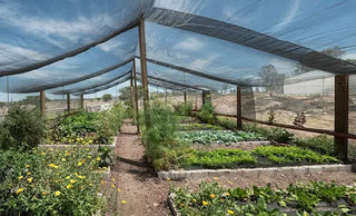 Shade Cloth