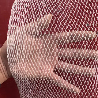 1/4’’ White Bird Netting | Small Birds Protection
