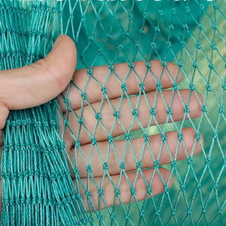 3/4’’ Green Bird Netting against Blackbird Robin Pigeon