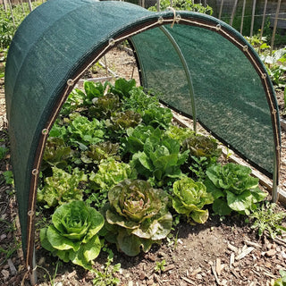 50% Shade Cloth | Reinforced Shade Cloth with Grommets