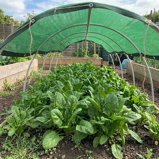 50% Shade Cloth | Reinforced Shade Cloth with Grommets