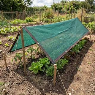 70% Shade Cloth | Reinforced Cloth for Shade-Loving Plants