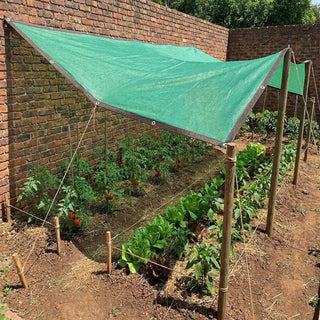 70% Shade Cloth | Reinforced Cloth for Shade-Loving Plants