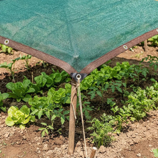 70% Shade Cloth | Reinforced Cloth for Shade-Loving Plants