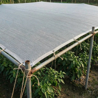 Aluminet Shade Cloth 60% | Greenhouse Heat Protection