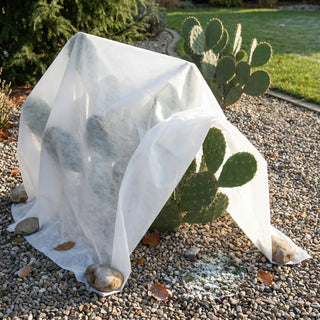 Frost Cloth for Cactus | Outdoor Cacti Frost Cover