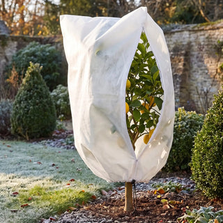 Frost Cloth for Citrus Trees | Garden Winter Protection