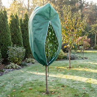 Frost Cloth for Fruit Trees | Cold Weather Protection