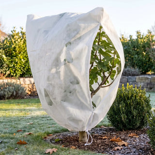 Frost Cloth for Fruit Trees | Cold Weather Protection