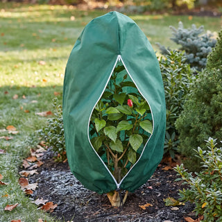 Frost Cloth for Hibiscus | Cold Weather Plant Cover