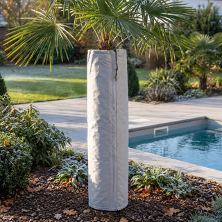 Frost Cloth for Palm Trees | Winter Trunk Protection