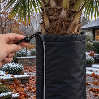 Frost Cloth for Palm Trees | Winter Trunk Protection