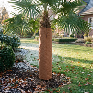 Frost Cloth for Palm Trees | Winter Trunk Protection