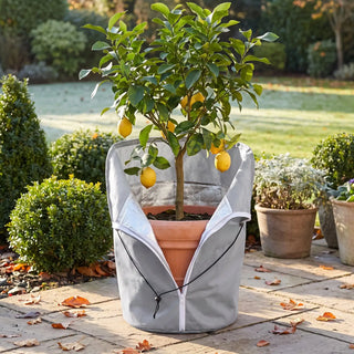 Frost Cloth for Potted Plants | Winter Root Protection