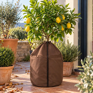 Frost Cloth for Potted Plants | Winter Root Protection