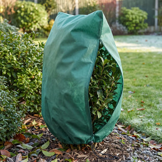 Frost Cloth for Shrubs | Winter Garden Frost Cover