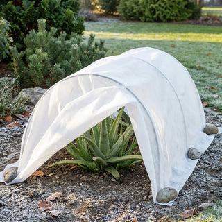 Frost Cloth for Succulents | Frost Protection Outdoors