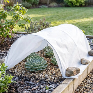Frost Cloth for Succulents | Frost Protection Outdoors