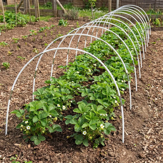 Rust-Resistant Garden Hoops for Raised Beds and Row Covers