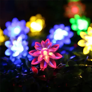 Best LED Solar Lotus Flower String Lights - Waterproof and weather-resistant - Ideal for Outdoor (Garden Patio Porch)