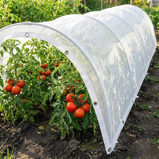 Shade Cloth for Tomatoes | Protection in Extreme Heat