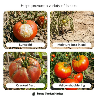 Shade Cloth for Tomatoes | Protection in Extreme Heat