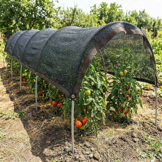 Shade Cloth for Tomatoes | Protection in Extreme Heat