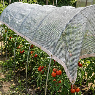 Shade Cloth for Tomatoes | Protection in Extreme Heat